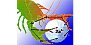 Хелатна форма: що це?