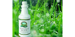 Хлорофіл – напій здоров'я! Хлорофіл – напій здоров'я!