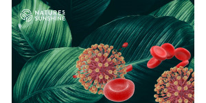 Чим небезпечна герпетична інфекція та як їй протистояти Чим небезпечна герпетична інфекція та як їй протистояти