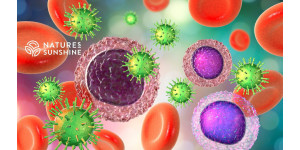 Що заважає імунітету працювати правильно - і як це виправити? Що заважає імунітету працювати правильно - і як це виправити?