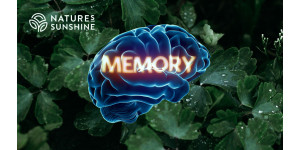 Таємниці пам'яті: як покращити роботу мозку та захистити його від вікових змін Таємниці пам'яті: як покращити роботу мозку та захистити його від вікових змін