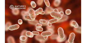 Літній мікробіом: як зберегти здоров'я кишечника у відпустці