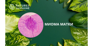 Як допомогти організму при міомі матки: нутрицевтична підтримка NSP Як допомогти організму при міомі матки: нутрицевтична підтримка NSP