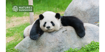 Чому не вистачає енергії і що з цим робити? Натуральні рішення від NSP