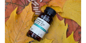 Котячий кіготь від NSP: універсальна підтримка імунітету і не тільки