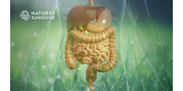 Чому здоров'я шлунково-кишкового тракту критичне для жіночого гормонального балансу і як підтримати його за допомогою продукції NSP