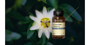 Хіти NSP. L-карнітин енергія, витривалість та підтримка здоров'я на клітинному рівні