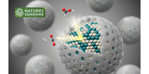 Найважливіша погода в домі