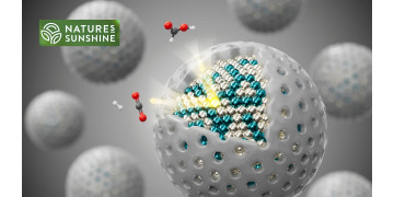 Найважливіша погода в домі