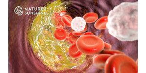 Програма «Захист судин» NSP Програма «Захист судин» NSP