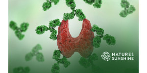 Щитовидна залоза під контролем: як нутрицевтики NSP допоможуть відновити здоров'я Щитовидна залоза під контролем: як нутрицевтики NSP допоможуть відновити здоров'я