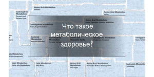 Метаболічне здоров'я: що це та як його покращити? Метаболічне здоров'я: що це та як його покращити?