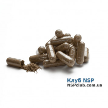 Ей Джі-Екс (AG-X) НСП, модель RU 1197 | Зображення № 1