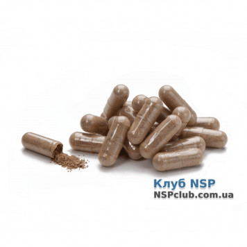 Кордіцепс НСП (Cordyceps) НСП, модель RU1240 | Зображення № 1