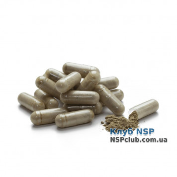 Листя оливи (Olive leaf extract) Листя оливи (Olive leaf extract) НСП, модель RU204 | Зображення № 1