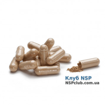 Астрагал НСП, модель RU22751 | Зображення № 1