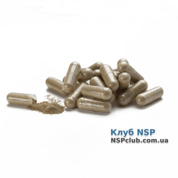 Альфальфа (Alfalfa (Люцерна)) НСП, модель RU30 | Зображення № 1