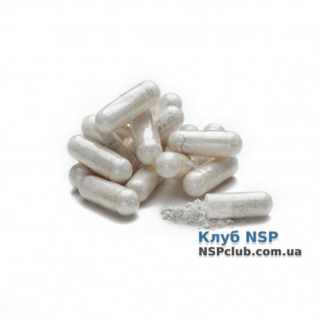 Майнд Макс - покращити пам'ять НСП, модель RU3134 | Зображення № 1