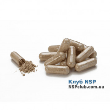 Молочний Чортополох (Milk Thistle) НСП, модель RU4040 | Зображення № 1