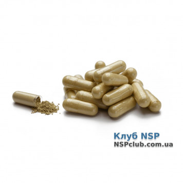 Гіста Блок (Hista Block) НСП, модель RU776 | Зображення № 1