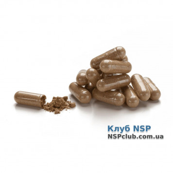 Сі Сі-Ей (C C-A) НСП, модель RU840 | Зображення № 1