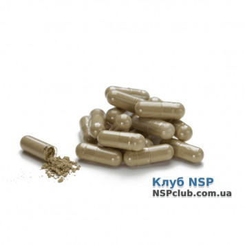 Келп (Kelp) Келп (Kelp) НСП, модель RU410 | Зображення № 1