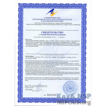 Ей Джі-Екс (AG-X) НСП, модель RU 1197 | Зображення № 6