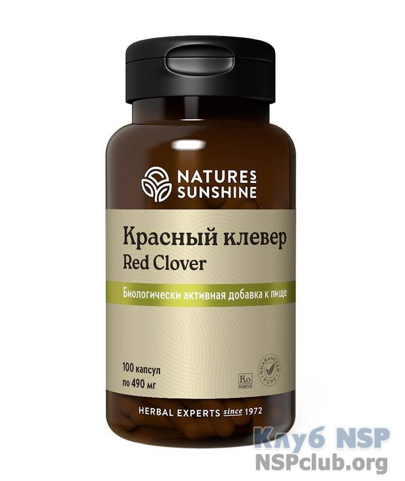 Червона конюшина NSP, 100 капсул
